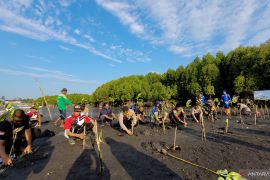 Cegah abrasi, Polres Situbondo tanam ratusan bibit bakau