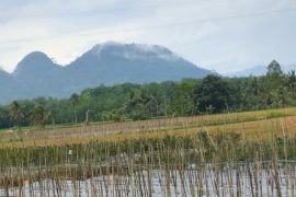 Sebagian wilayah Kalsel cerah dan potensi asap