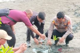Polres Mukomuko melaksanakan penanaman bibit mangrove