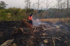 BPBD Majalengka berhasil padamkan 135 karhutla Januari-Oktober 2023