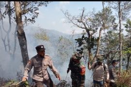 BPBD Situbondo catat karhutla di lereng Gunung Argopuro sekitar 10 ha