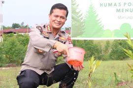 Polda Kaltara Menanam 250 Pohon Bibit Mahoni