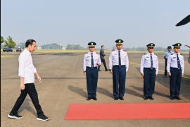 Jokowi utamakan sumber energi hijau pasok listrik nasional