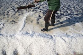 Produksi garam di Sampang mencapai 300 ribu ton