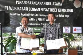 BRIN teliti produktivitas hasil hutan di Papua