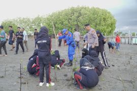 Polres Pidie tanam 1.500 mangrove untuk melindungi pantai dari abrasi