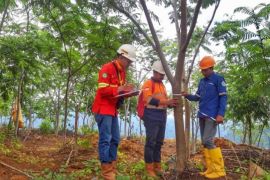 PT.Ceria Nugraha Indotama bayar ganti rugi tanaman warga sesuai SK Dinas Perkebunan