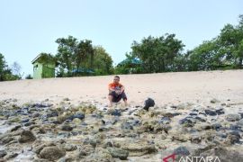 Pemkab Gorontalo Utara terapkan konsep wisata halal