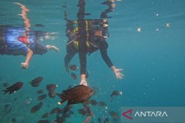 Kemenparekraf dan OIKN kerja sama gelar famtrip wisata sekitar IKN