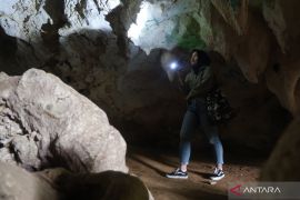 KLHK pulihkan area tambang jadi lokasi ekowisata IKN