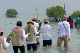 Insan PetroChina donasi 5.000 Mangrove di Kepulauan Seribu