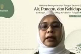 OIKN sebut perlu teknologi dan kebijakan yang tepat mengelola air di IKN