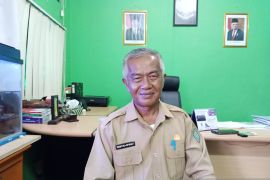 DKPP Belitung: Kenaikan harga beras disebabkan gagal panen