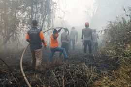 Bantu tangani Karhutla, BPBD Jatim kembali kirim tim Kalsel