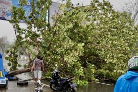Trees collapse, roofs fly, power out, due to strong wind hits Banjarmasin