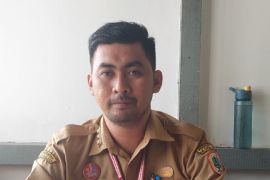 659 pelamar PPPK Kapuas Hulu tak memenuhi syarat administrasi