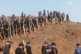 Petani Badui lakukan "ngaseuk" padi huma dengan gotong royong