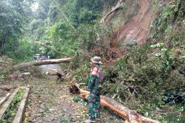 Longsor terjadi di perbatasan Langkat- Karo