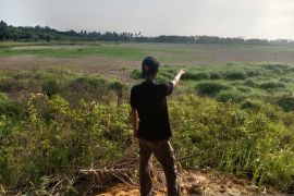 Puluhan hektare sawah di Tedunan terbengkalai