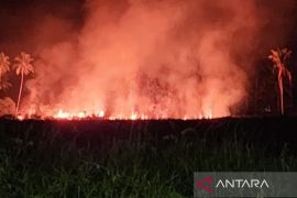 BMKG ingatkan sejumlah daerah waspadai potensi hujan dan kebaktian hutan