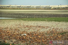Air Waduk Bunder menyusut