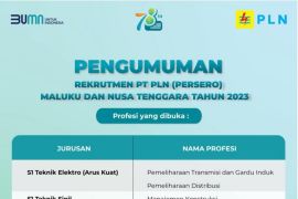 PLN buka lowongan besar-besaran bagi anak muda Maluku, Maluku Utara dan Nusa Tenggara, ini syaratnya