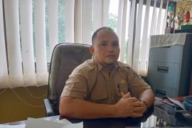 Stok beras di Kabupaten Belitung capai 1.173 ton