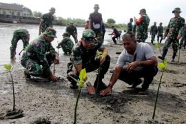 Kodim 0101/KBA Tanam mangrove di Pantai Syiah Kuala
