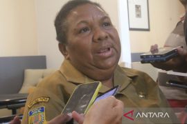 Sekda Hana: Smart city selesaikan masalah masyarakat di Kabupaten Jayapura