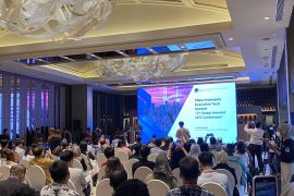 Indonesia committed to optimizing digital ecosystem growth: minister