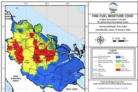 BMKG: Titik panas di Riau turun signifikan usai diguyur hujan
