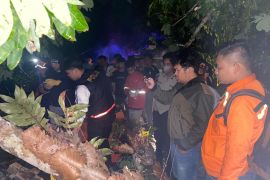 Warga Desa Pulau Ku'u Tabalong tewas tersengat listrik