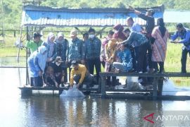 Pemkab Balangan targetkan tebar satu juta bibit ikan