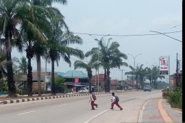 DLHP: Titik api di Sumsel menurun  signifikan