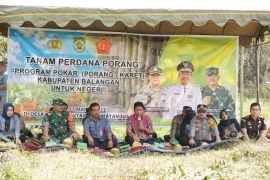 Pemkab Balangan sediakan mesin "chips" untuk naikkan harga porang