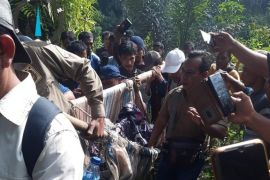 Harimau Sumatera terjerat jebakan babi hutan dievakuasi