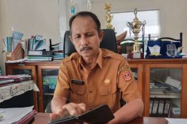 Persediaan beras di Agam aman jelang akhir 2023