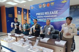 Bakamla thwarts smuggling of lobster seeds worth Rp19 billion