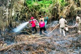 East Kalimantan still fighting wildfires: official