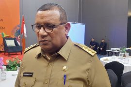 Papua Barat Daya bentuk satgas optimalisasi KEK Sorong