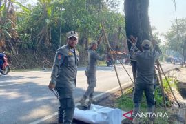 Satpol PP Cianjur turunkan 119 alat peraga kampanye yang dipasang melanggar