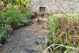 Pencemaran limbah coklat pengaruhi hasil pertanian di Tangerang