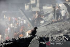 Layanan komunikasi dan internet di Gaza kembali berfungsi