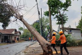 Angin kencang dan hujan lebat terjang empat desa