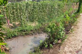 DLHK Tangerang cek dugaan pencemaran pada industri pengelolaan coklat