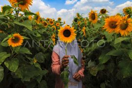 Pemkot Batu kembangkan konsep desa wisata tematik gaet wisatawan