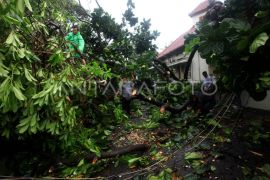 Masyarakat diimbau waspadai angin kencang dan gelombang tinggi di pantai selatan pada musim peralihan