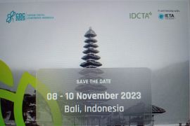 IDCTA lakukan pelepasan penyu sebagai komitmen pelestarian lingkungan