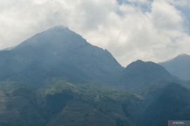 Kebakaran  Gunung Merbabu padam akibat guyuran hujan