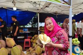Pemkot Semarang angkat potensi durian lokal Malika dari Desa Kandri